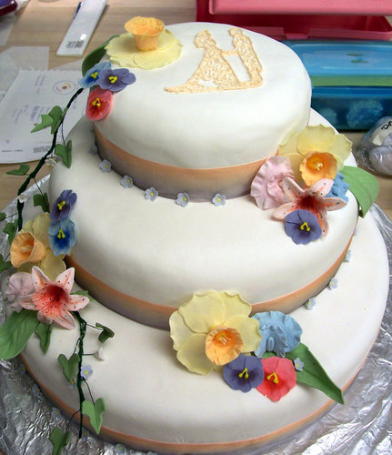 Display_Cake_1_by_h0p31355.jpg