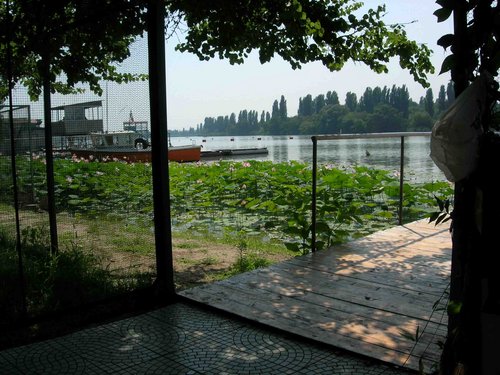 DSCN3713.jpg