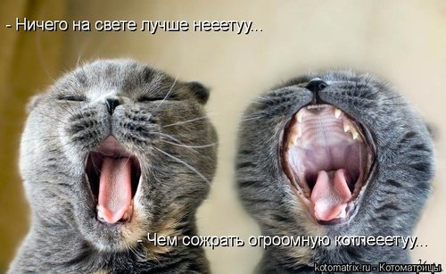 post-1233831313.jpg