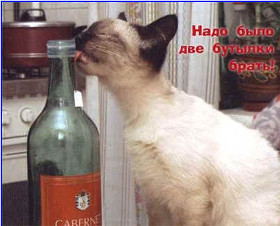 post-77-1084317761.jpg