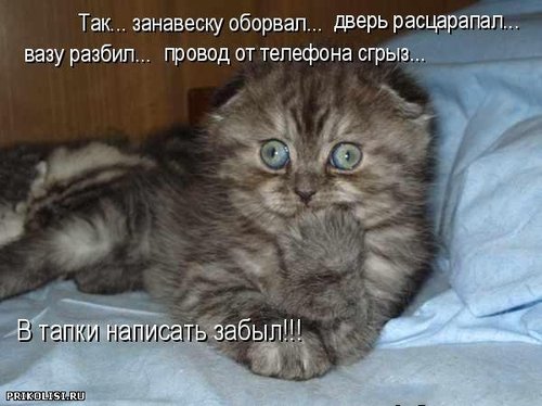 74e6d9880d8d.jpg