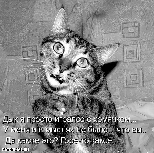 6034a29ee39c.jpg