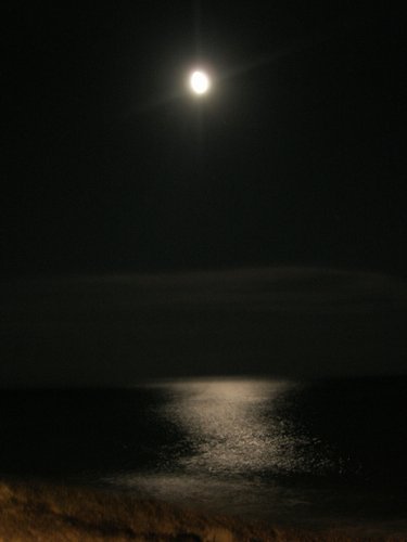 DSCN5374.JPG