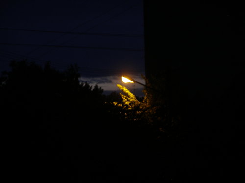 P6284337.JPG