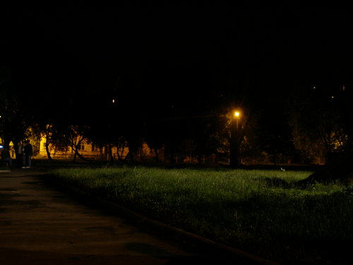 P6284370.JPG