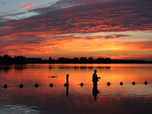 fisherman-other.jpg